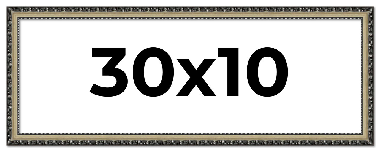 30x10 Solid Wood Antique Picture Frame with UV-Resistant Acrylic & Acid-Free Backing, Available in 4 Finishes: Bronze, Gold, Silver, and Gold with Black
